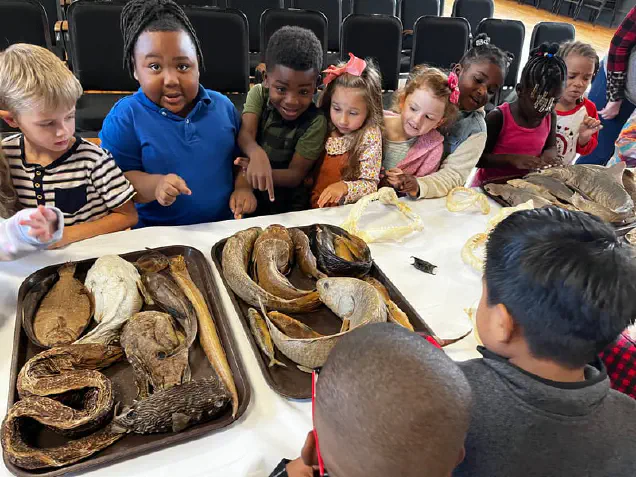 Students inspecting marine specimens on a table