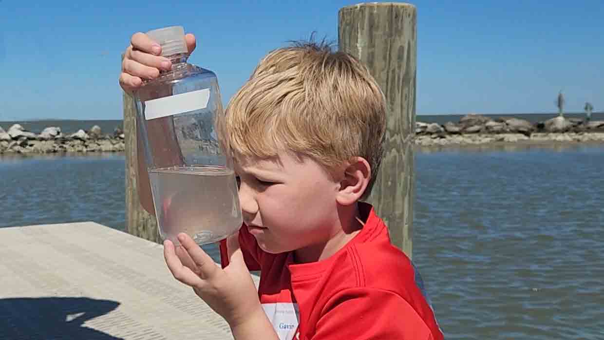 boy looking at bottle during ocean animal biology science friday