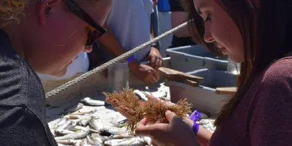 Students inspecting specimens on a table