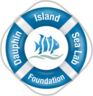 DISL Foundation Logo