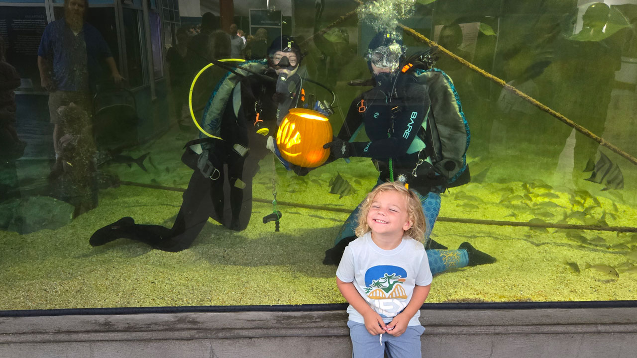 a young kid gets his photo with the pumpkin and divers