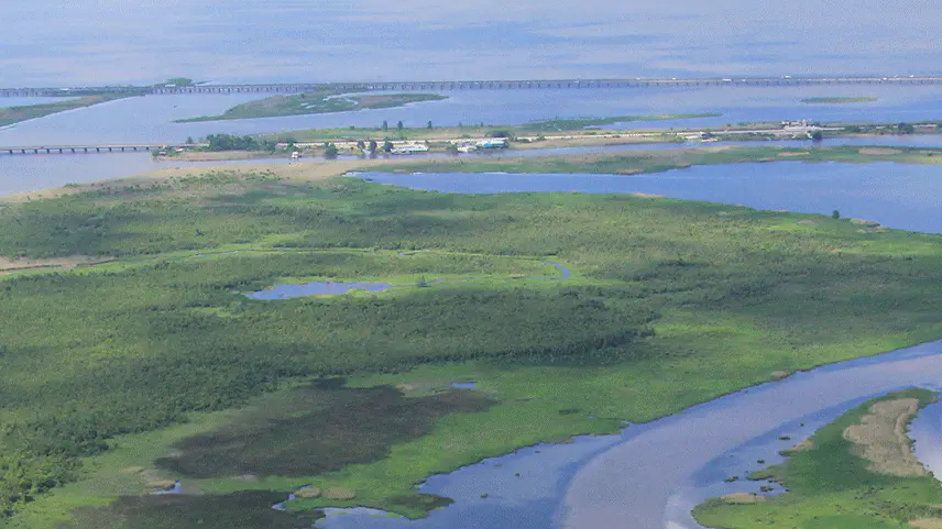 Aerial view of the northern Mobile Bay delta