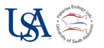 flat fish funding logos