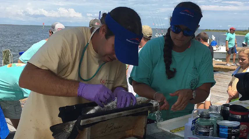 Reid Nelson and Crystal Hightower work to tag a red fish at the Alabama Deep Sea Fishing Rodeo.