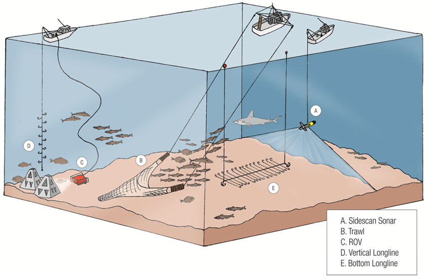 Illustration of an ecosystem-based approach to sampling reef fish communities.