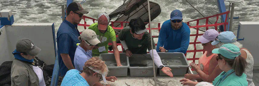 Citizen scientists identifying organisms on the back deck of a boat.